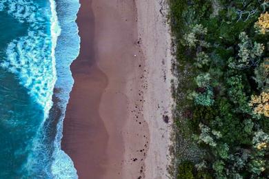 Sandee Sapphire Beach