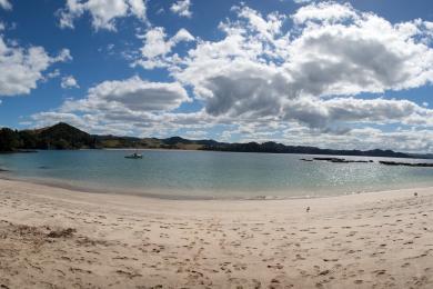 Sandee Whale Beach Photo