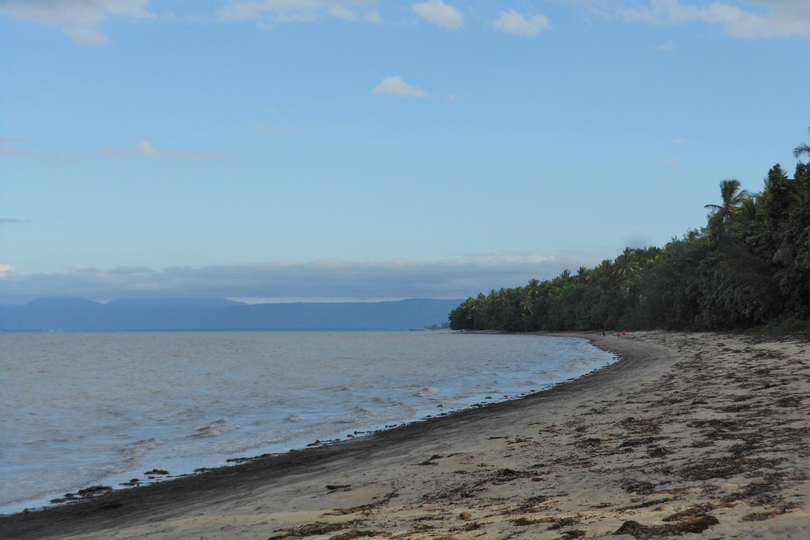 Wonga Beach Photo - Sandee