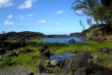 Sandee - Richardson Beach