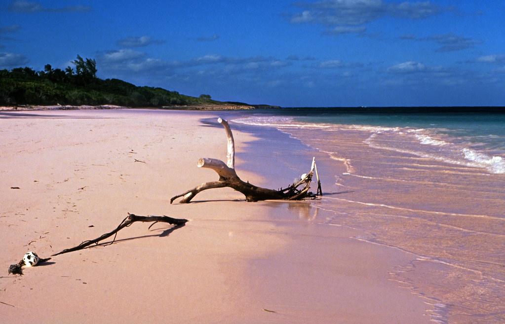 Sandee Harbour Island Photo