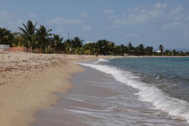 Sandee Placencia Beach