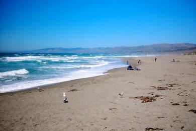 Sandee Salmon Beach Photo