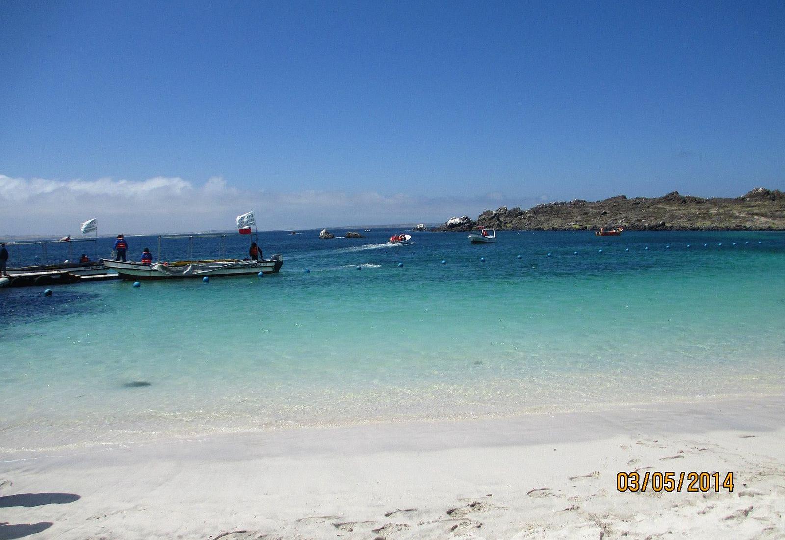 Sandee - HomePage / Coquimbo