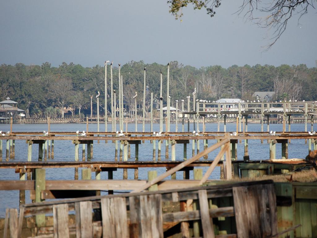 Sandee - HomePage / Fairhope