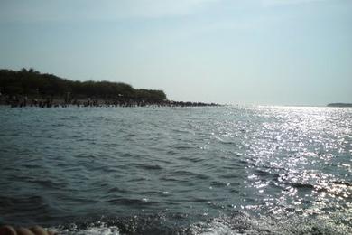 Sandee - Estero Padre Ramos Beach