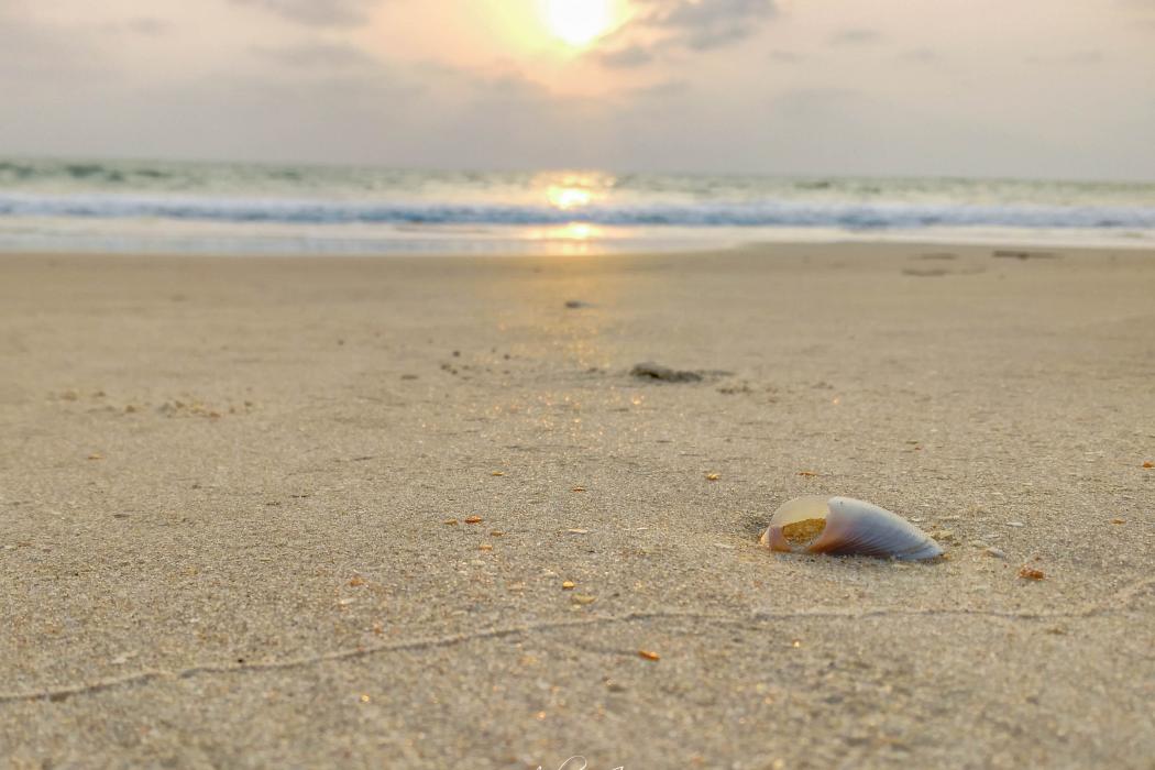 Sandee Kapu Beach