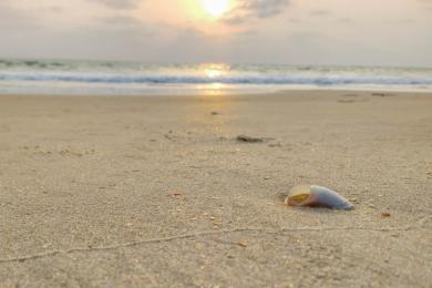 Sandee Kapu Beach