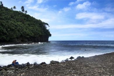 Sandee - Honokalani Black Sand Beach