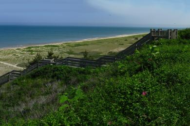 Sandee Siasconset Beach Photo