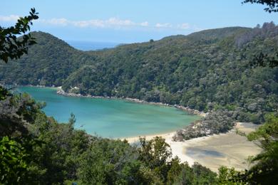 Sandee - Abel Tasman National Park