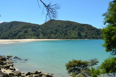 Sandee - Abel Tasman National Park