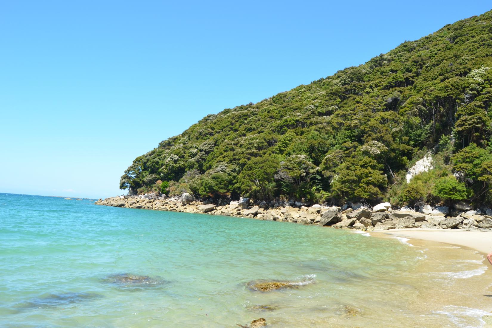 Sandee - Abel Tasman National Park