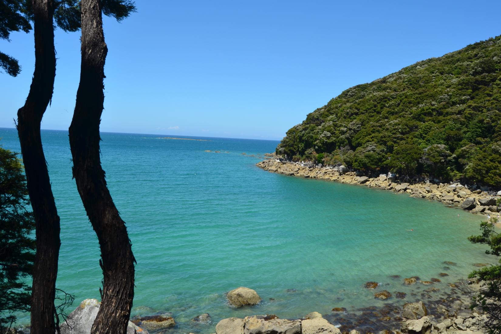 Sandee - Abel Tasman National Park