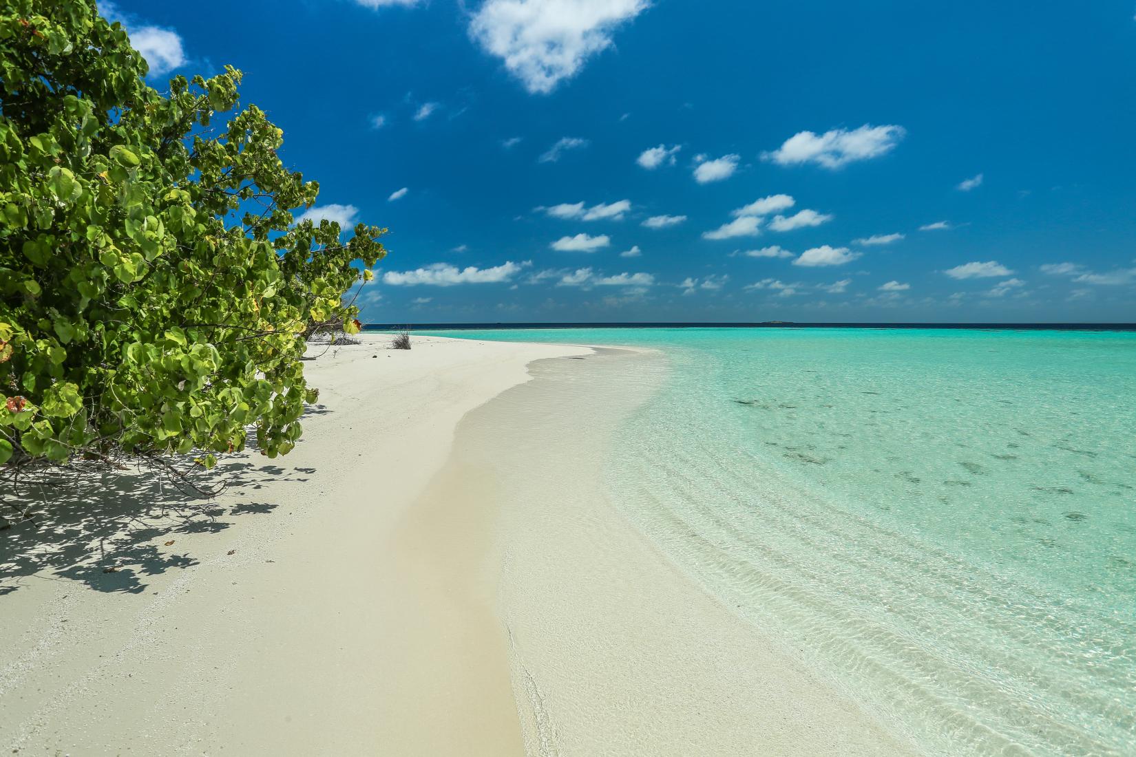 Sandee - Ellaidhoo Island