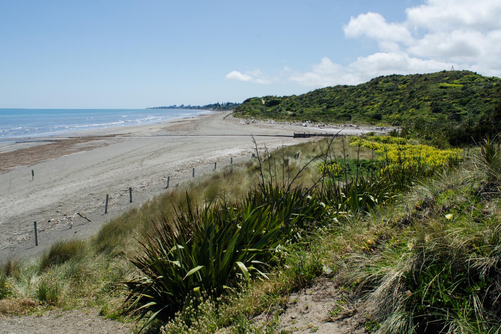 Sandee - Whareroa Beach