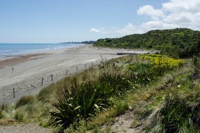 Sandee Whareroa Beach Photo