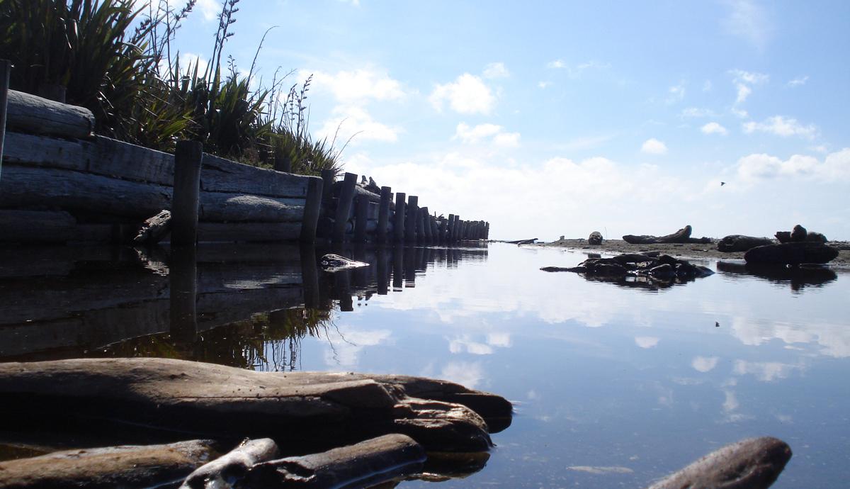 Sandee - Whareroa Beach