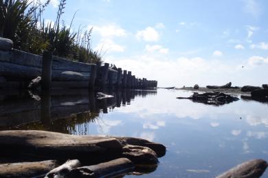 Sandee - Whareroa Beach