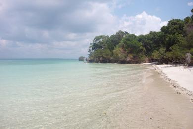 Sandee - Country / Pemba Island