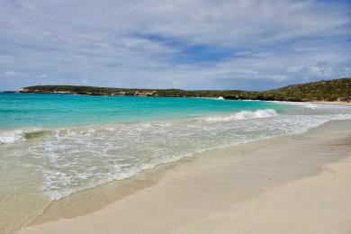 Sandee Caracas Beach Photo