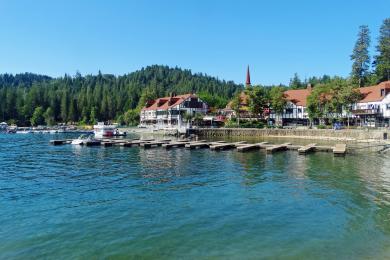 Sandee Lake Arrowhead Photo