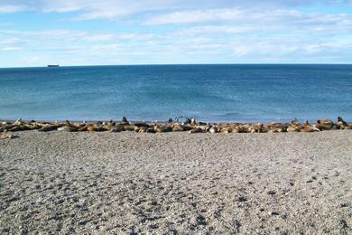 Sandee Playa El Cruce