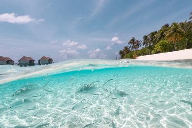 Sandee Medhu Huras Magu