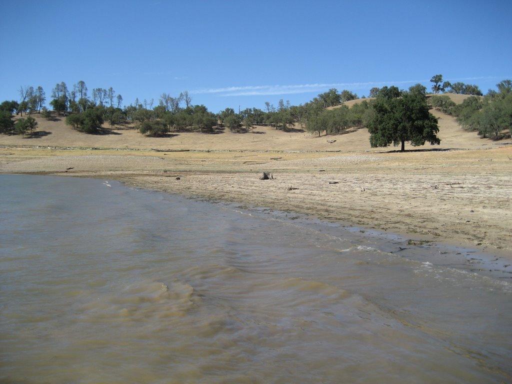 Sandee - Lake Nacimiento Davis Dock