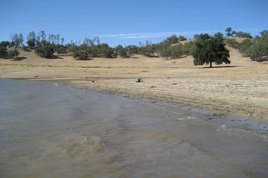 Sandee Lake Nacimiento Davis Dock Photo