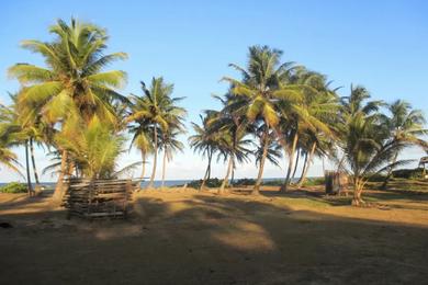 Sandee - Sandy Bay Sirpi Beach