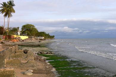 Sandee - La Baie Des Tortues Luth