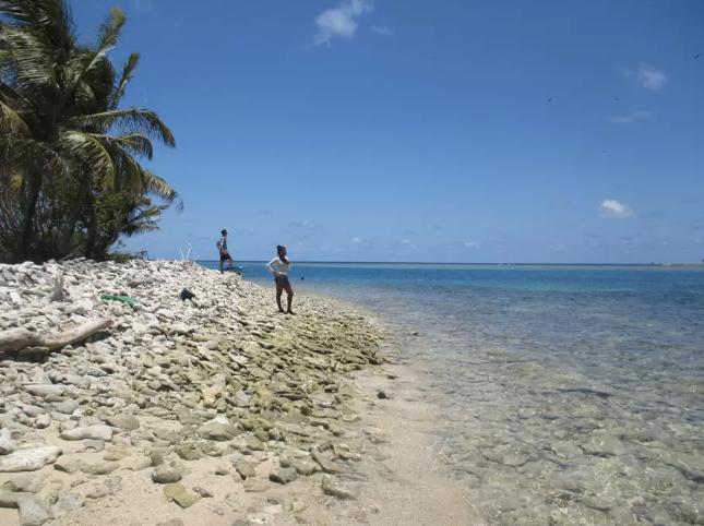 Sandee - Sandy Bay Sirpi Beach