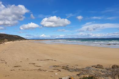Sandee Bakers Beach
