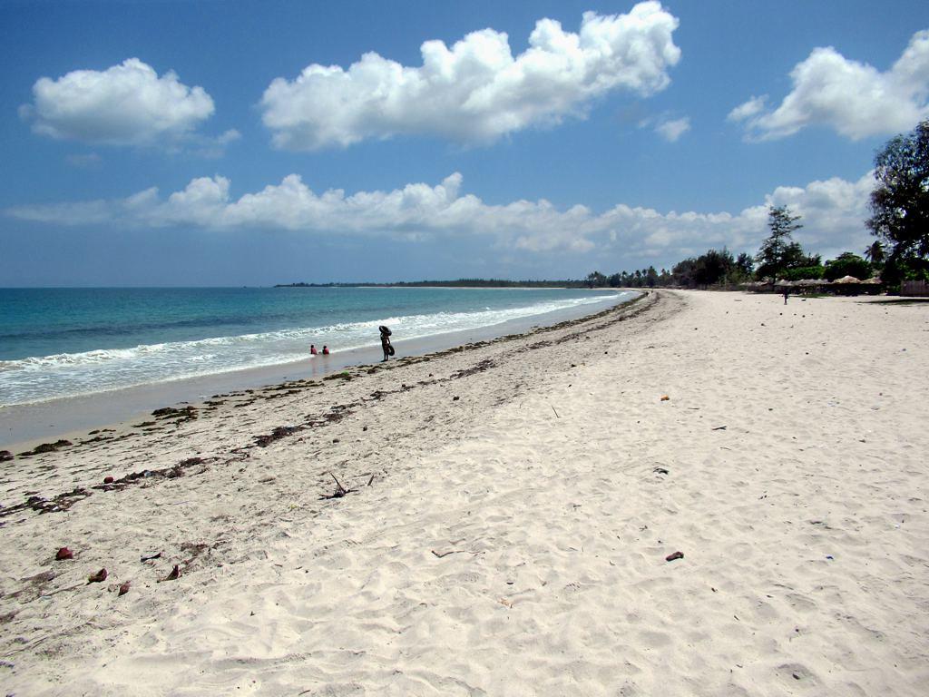 Sandee - HomePage / Kipepeo Beach