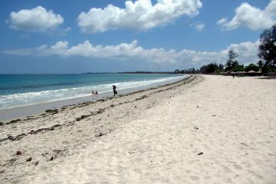 Sandee Paradise Beach Photo