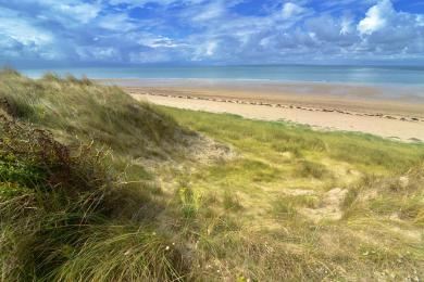 Sandee Lindbergh-Plage