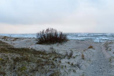 Sandee Smiltynes Beach Photo