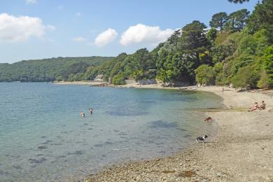 Sandee Bream Cove