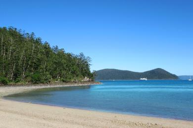 Sandee Dugong Beach Photo