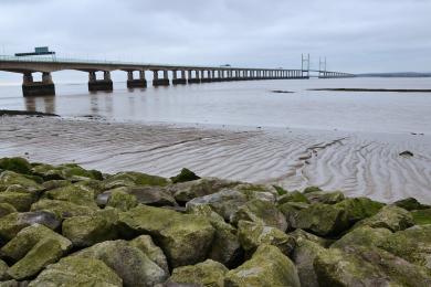 Sandee Severn Beach Photo