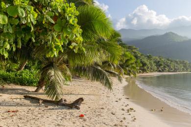 Sandee Anse L'Islette