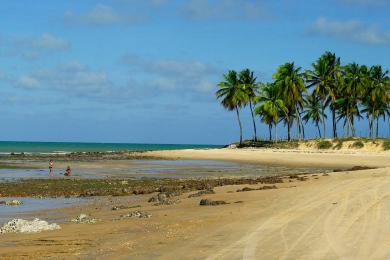 Sandee - Maracajau Beach