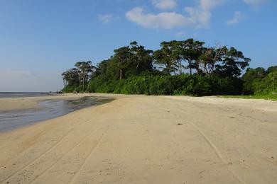 Sandee Wandoor Beach