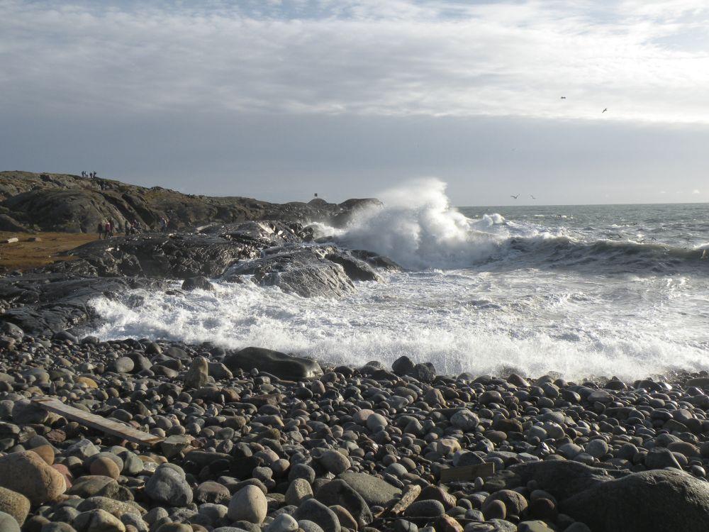 Sandee - Molen Beach