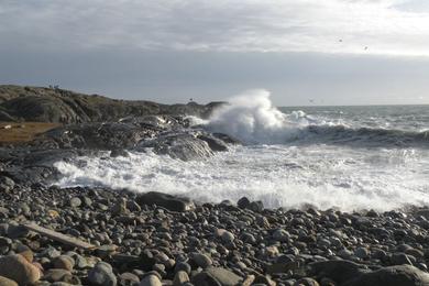 Sandee - Molen Beach