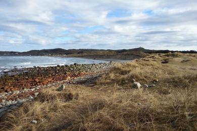 Sandee Hellesto Beach