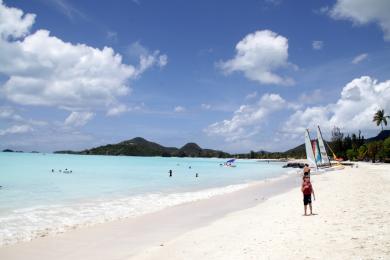 Sandee Mosquito Cove Beach Photo