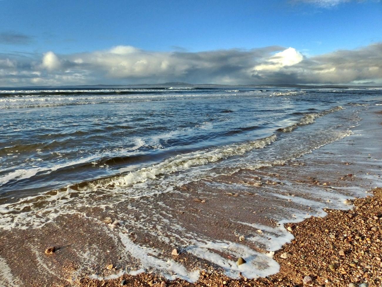 These beauties are beachcombed by the vendor from the beaches where they  wash ashore after bein…