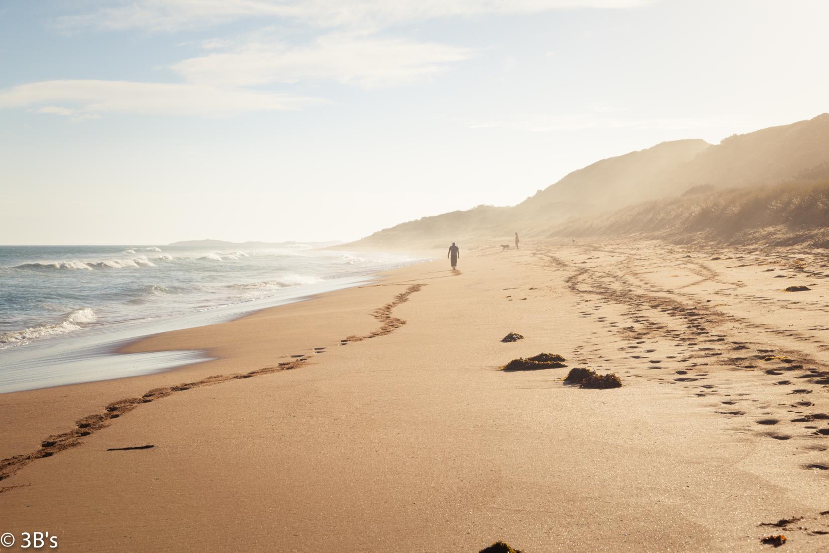 Sandee - Logan's Beach